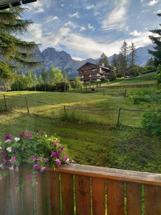 Appartamento Cortina 1956 Cortina d'Ampezzo Exterior foto